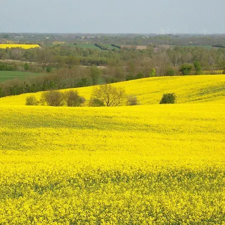 Waterkant Direkt Am Wittensee, Mit Spielscheune דירה Bunsdorf